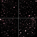 4套花瓣纷飞免扣背景素材