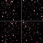 4套花瓣纷飞免扣背景素材