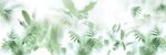 雾气磨砂膜效果绿植贴图