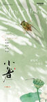小暑海报
