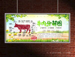 牛肉分解图