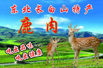  特产鹿肉
