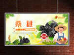 桑椹