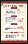 中医养生知识海报
