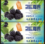 桑葚