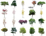 免扣高清景观树莲花植物花卉贴图
