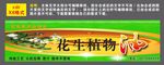 油茶门头招牌