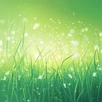 清新绿草梦幻光斑背景图