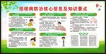 结核病日宣传栏