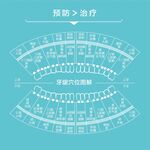 牙科 牙龈穴位图解