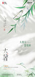大暑时节柳枝摇曳