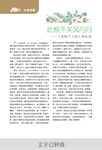 文字排版设计展示