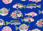 多彩鱼群图案的蓝色织物