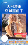 淡水乌贼墨鱿鱼干 海报