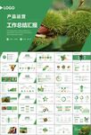 营养美食美味板栗种植宣传PPT