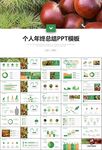 营养美食美味板栗种植宣传PPT