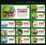 保护鸟类