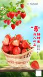 草莓海报