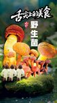 野生菌广告