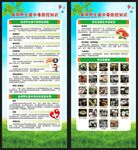 预防毒蘑菇中毒知识展架