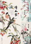 情人节  