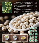 胡椒海报