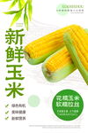 新鲜甜玉米海报
