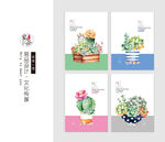 绿植一偶
