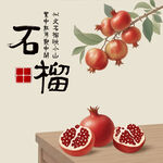 手绘石榴