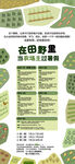 研学海报