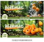 枇杷