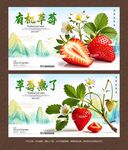草莓