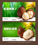 蛇皮果海报