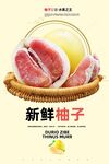 柚子