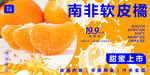 南非软皮橘
