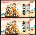 菌菇