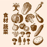 食材蔬菜手绘插画集合