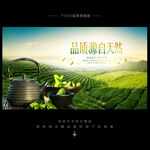 茶叶海报