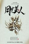 白牡丹白茶茶叶饮品海报