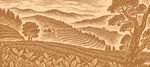 茶叶插画