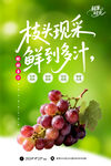 葡萄