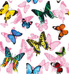 多彩蝴蝶图案背景数码印花