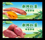 红薯