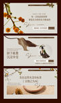 美业皮肤管理banner