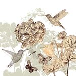 蜂鸟蝴蝶与花卉插画