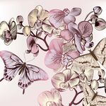 蝴蝶兰花梦幻插画