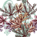 手绘多彩植物叶片图案