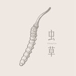 手绘虫草图