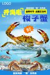 鲜活梭子蟹 开启海味盛宴