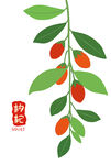 枸杞枝叶图案包装中药材海报